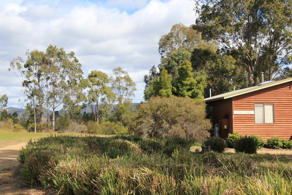 פוקולבין Cabins On Halls מראה חיצוני תמונה